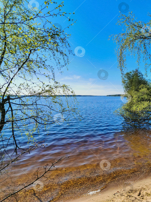 Скачать облачное небо над водой. деревья на переднем плане фотосток Ozero