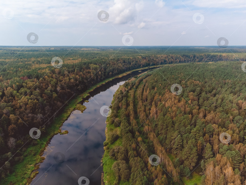 Скачать Полет над рекой, река в лесу с высоты птичьего полета фотосток Ozero