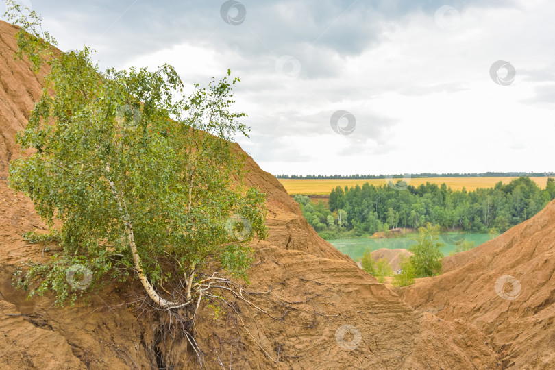 Скачать холмы в заброшенном карьере, насыпи в заброшенном карьере фотосток Ozero