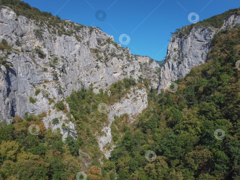 Скачать вид на горы в зелени, зеленые холмы фотосток Ozero