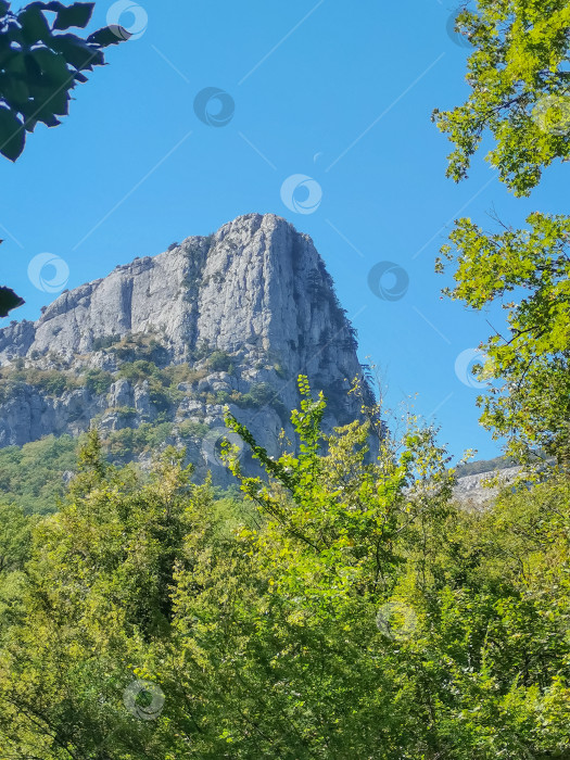 Скачать вид на горы в зелени, зеленые холмы фотосток Ozero