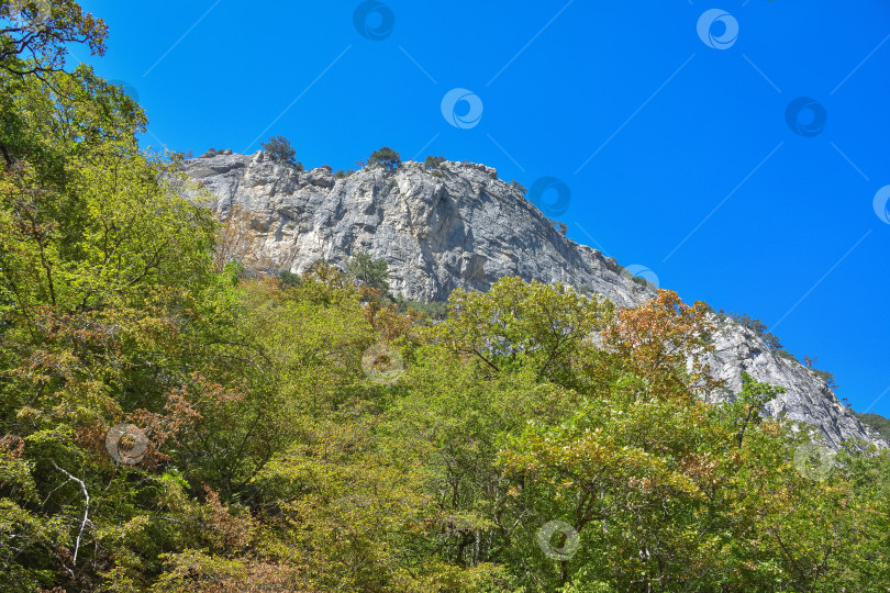 Скачать вид на горы в зелени, зеленые холмы фотосток Ozero