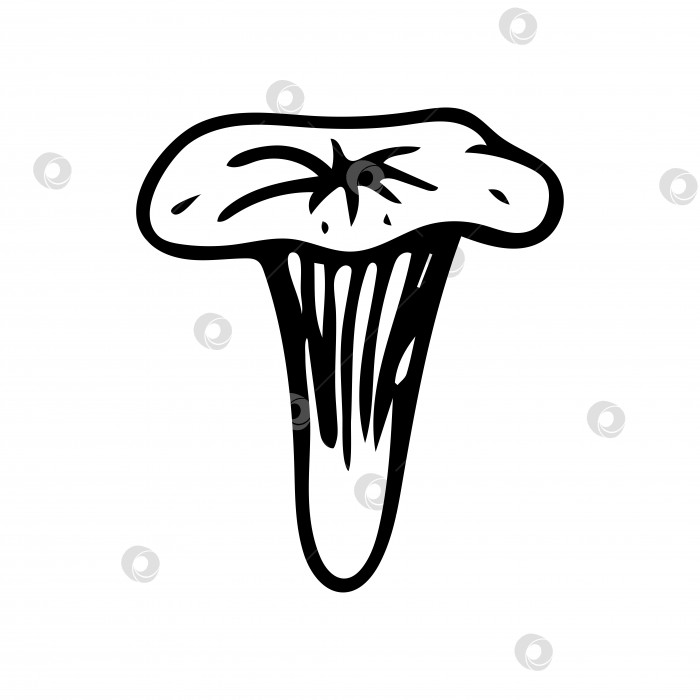 Скачать Я нарисовал каракули лисички. Векторный гриб. Контур. Черный и белый лесные грибы. фотосток Ozero