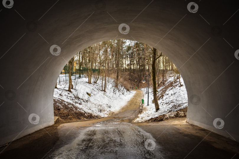 Скачать путь через туннель в лес, путь в лес фотосток Ozero