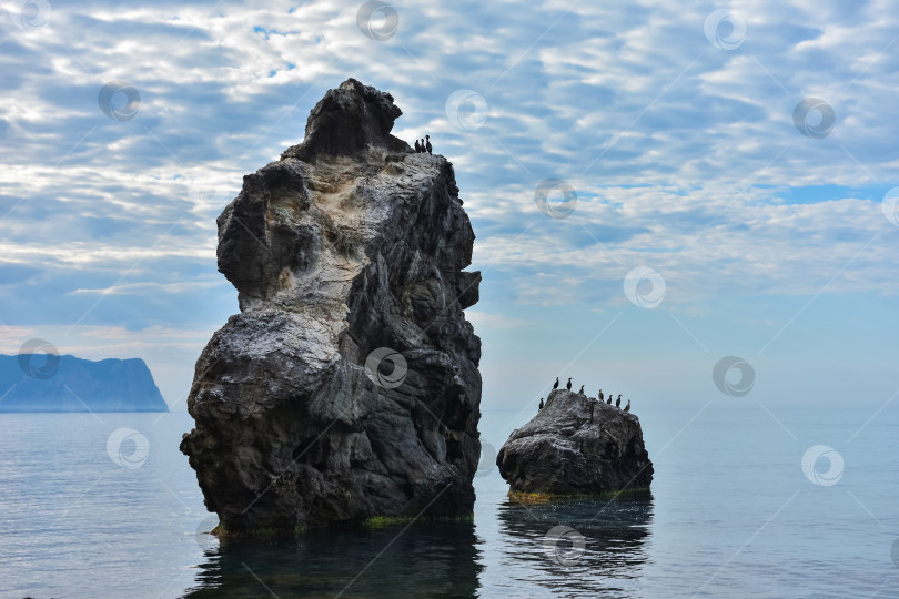 Скачать скалистый берег Черного моря, пейзаж со скалами на берегу моря, скалы, выступающие из моря фотосток Ozero