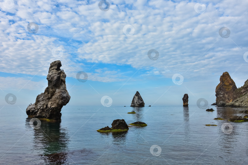 Скачать скалистый берег Черного моря, пейзаж со скалами на берегу моря, скалы, торчащие из моря фотосток Ozero