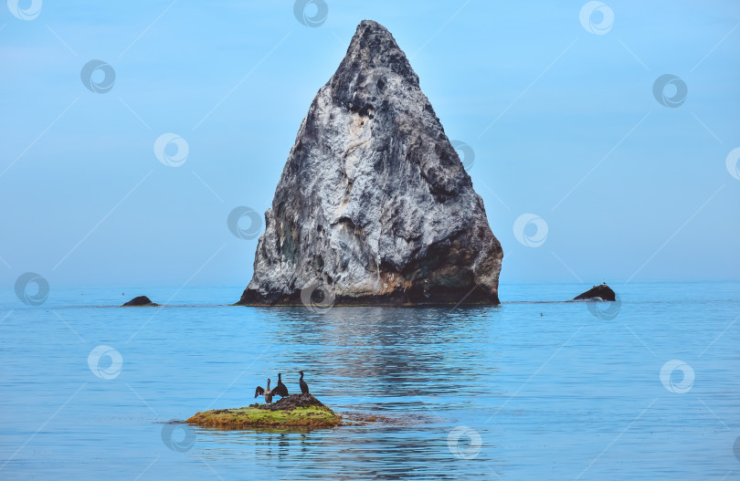 Скачать скалистый берег Черного моря, пейзаж со скалами на берегу моря, скалы, выступающие из моря фотосток Ozero