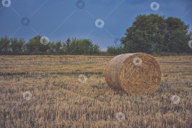 Скачать круглый стог сена на фоне неба фотосток Ozero