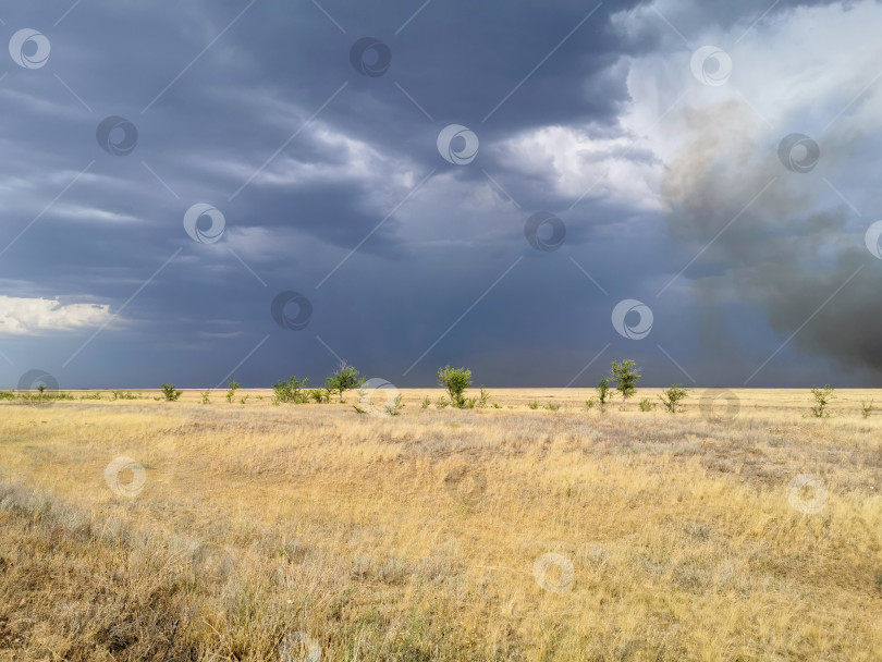 Скачать грозовое небо в поле, гроза в степи, пожар в степи фотосток Ozero