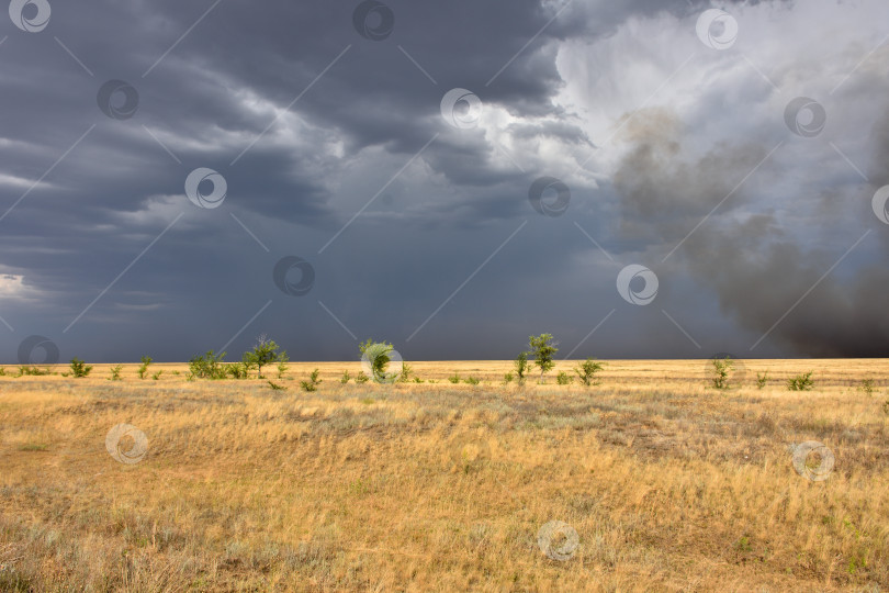 Скачать грозовое небо в поле, гроза в степи, пожар в степи фотосток Ozero