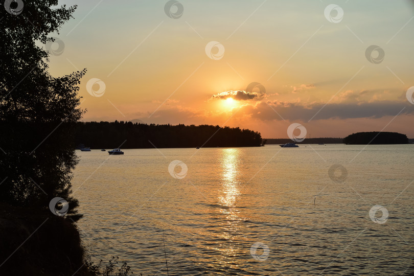 Скачать закат на озере, силуэт березы на фоне заката фотосток Ozero