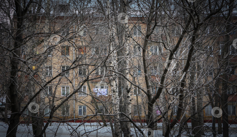 Скачать жилое здание сквозь зимние деревья фотосток Ozero