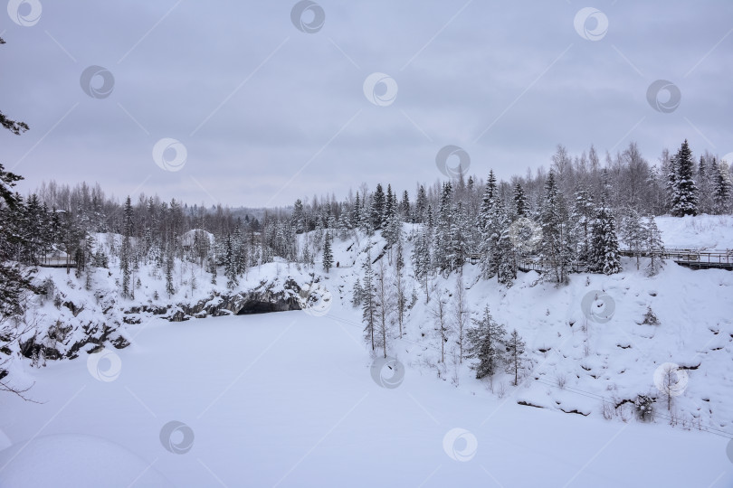 Скачать Зима в еловом лесу, ели, покрытые белым пушистым снегом. Выборочный обзор. Зимний пейзаж со снегом и деревьями. Заснеженные деревья в лесу зимой фотосток Ozero