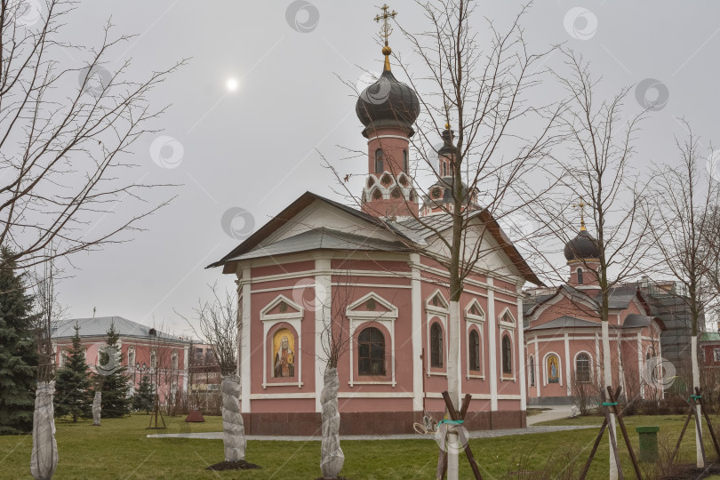 Скачать Москва, Россия - 01 марта 2020 года: Донской монастырь в Москве фотосток Ozero