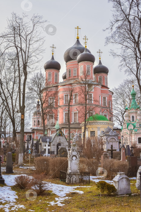 Скачать Москва, Россия - 01 марта 2020 года: Донской монастырь в Москве фотосток Ozero