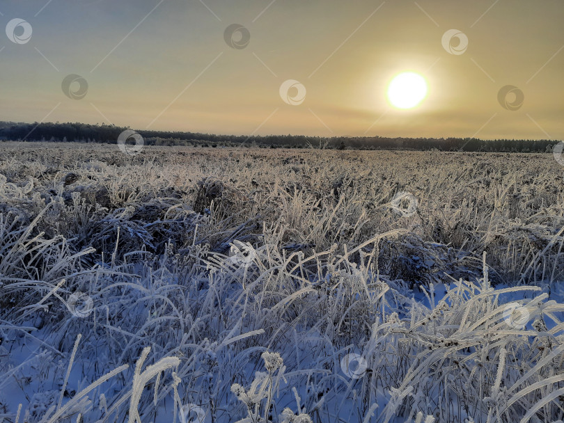 Скачать Ледяное поле фотосток Ozero