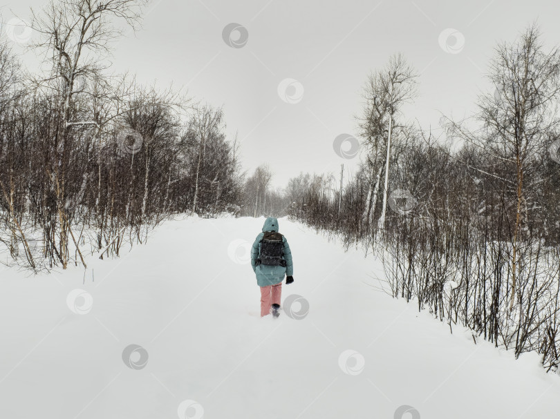 Скачать Прогулка по зимнему лесу в глубоком снегу. Трудный путь. фотосток Ozero