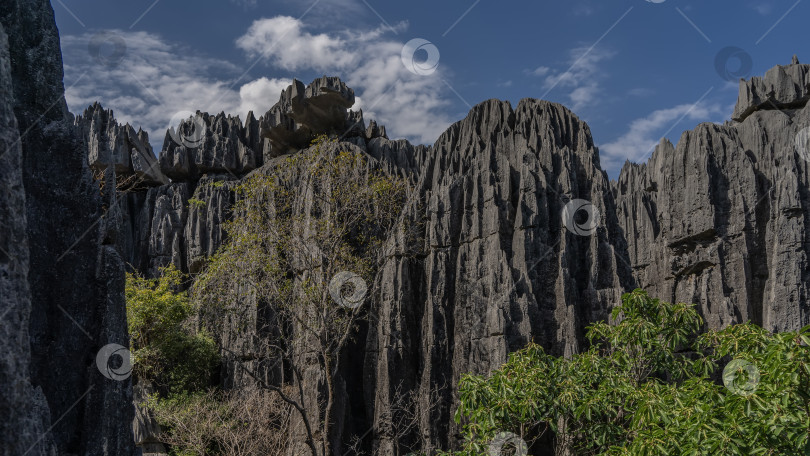 Скачать Уникальные карстовые скалы Мадагаскара. фотосток Ozero