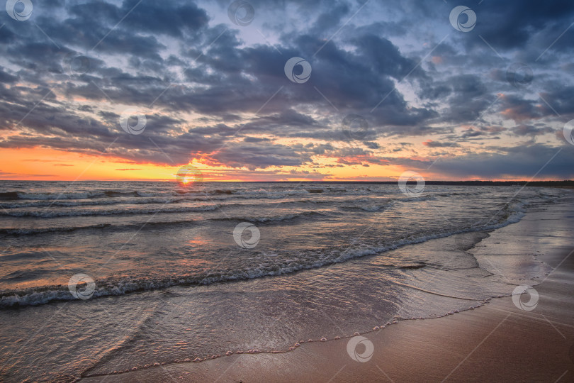 Скачать Балтийское море на закате. фотосток Ozero