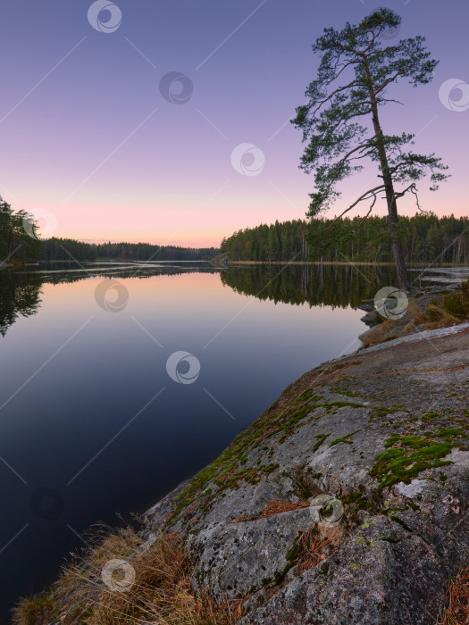 Скачать Чистота и первозданная природа озера в Финляндии. фотосток Ozero