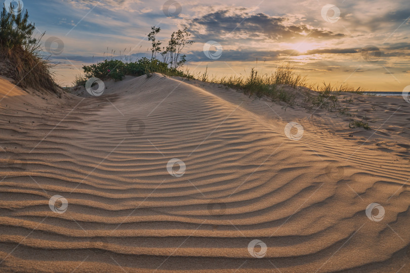 Скачать Песчаная дюна и закат. фотосток Ozero