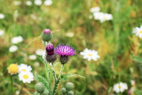 [object Object] undefined