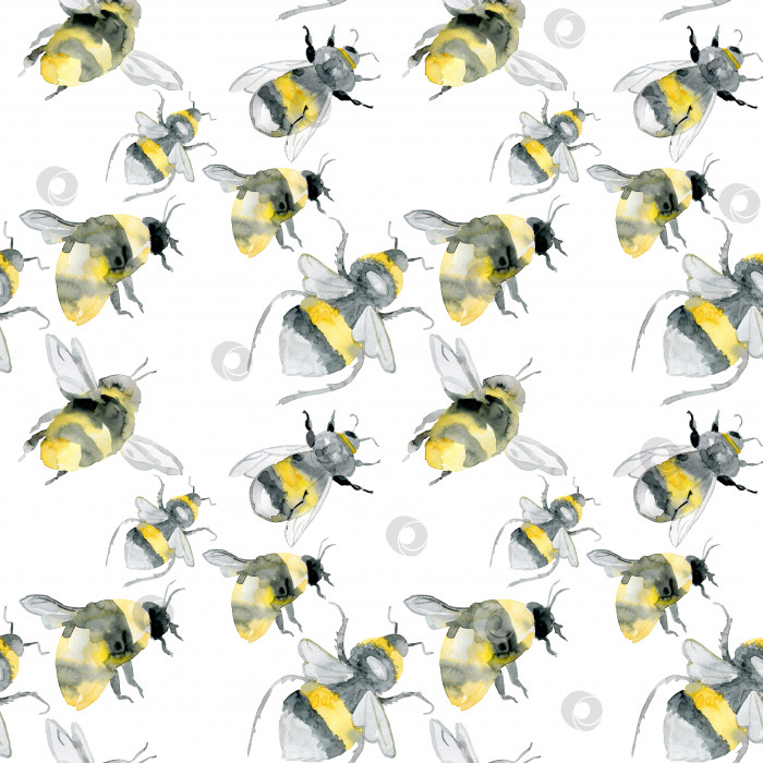 Скачать Абстрактные акварельные шмели на белом цветном бесшовном узоре с пчелиной пыльцой. медовый гребень, точки, линии и текстура. Повторите рисунок пчелы для текстиля или тканого полотна. фотосток Ozero