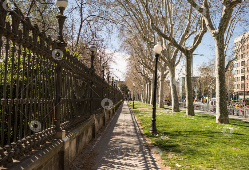 Скачать Аллея в парке Цитадели или Parc de la Ciutadella в Барселоне. фотосток Ozero