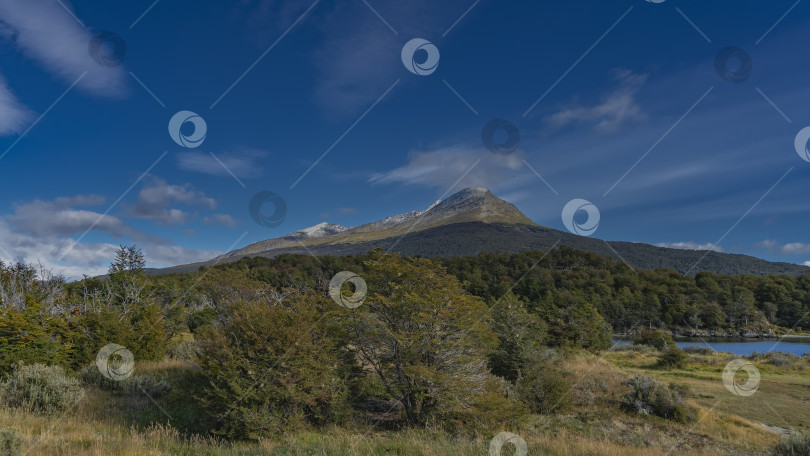 Скачать Осень. Пожелтевшая трава на лугу, на берегу озера. фотосток Ozero