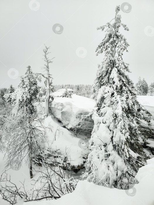 Скачать Заснеженный горный пейзаж, вид сверху. фотосток Ozero