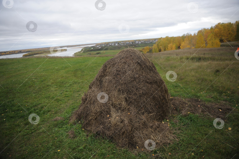 Скачать Стог сена на холме в Иркутской области фотосток Ozero