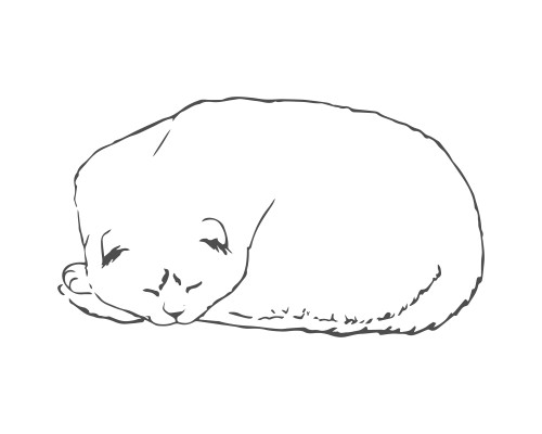 [object Object] undefined