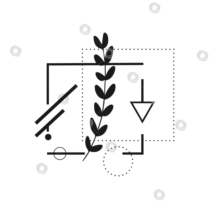Скачать Абстрактная ботаническая татуировка с геометрическими элементами, выделенными на белом фоне. Векторная иллюстрация фотосток Ozero