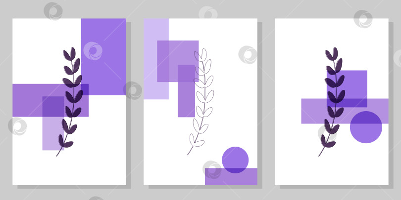 Скачать Набор минималистичных постеров с ботаническими элементами и фиолетовыми геометрическими фигурами. Для оформления интерьера, печати и дизайна фотосток Ozero