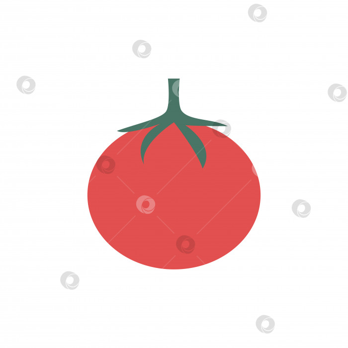 Скачать Нарисуйте красный помидор. Векторный клипарт. фотосток Ozero