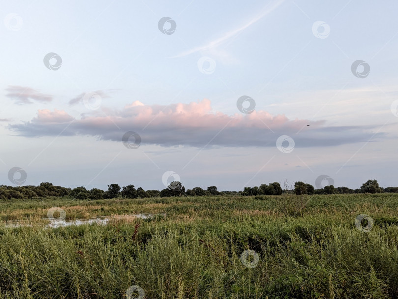 Скачать Вечернее небо над лугом фотосток Ozero