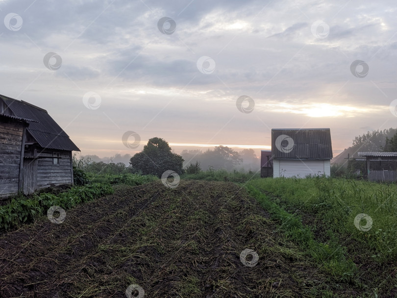 Скачать Сельский пейзаж с огородом и строениями на фоне вечернего неба фотосток Ozero