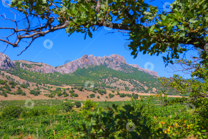 Скачать Горный пейзаж Крыма фотосток Ozero