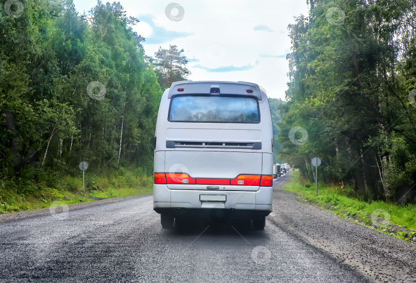 Скачать туристический автобус едет по городской улице фотосток Ozero