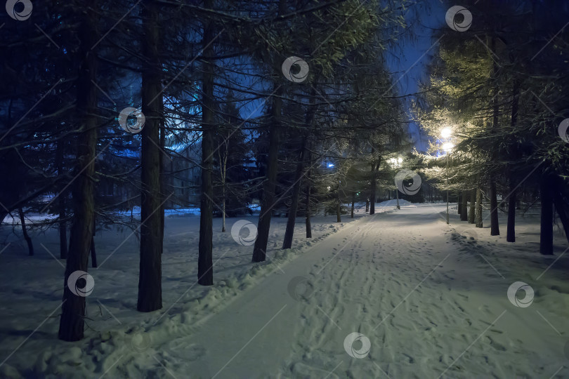 Скачать заснеженный тротуар ночью фотосток Ozero