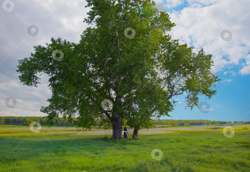 Скачать Девушка на зеленом лугу под большим деревом фотосток Ozero