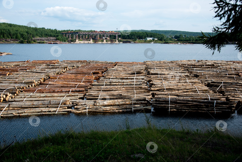 Скачать Заготовка древесины. фотосток Ozero