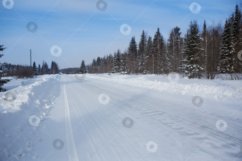 Скачать Заснеженная дорога в зимнем лесу фотосток Ozero