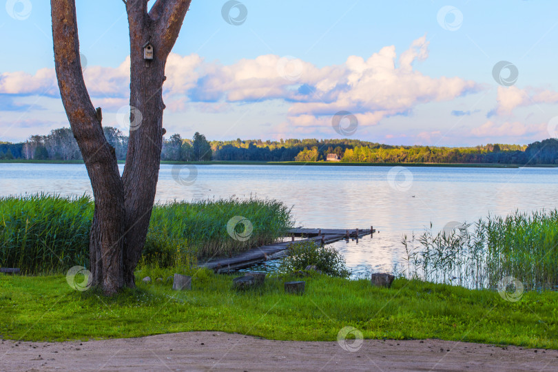 Скачать Зеленый берег озера фотосток Ozero