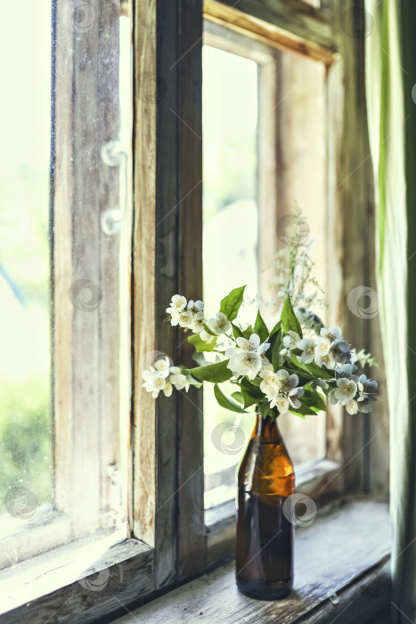 Скачать Бутылка с цветущими ветками жасмина у окна в загородном доме фотосток Ozero