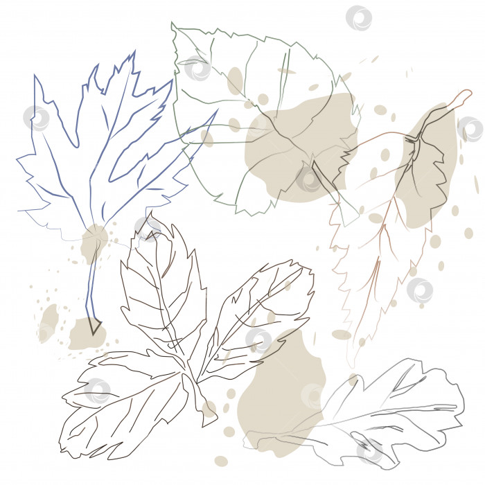 Скачать Листья, нарисованные от руки, и пятна, выполненные авторской кистью.3d. фотосток Ozero