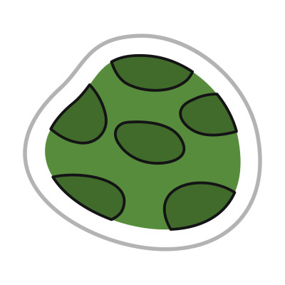 [object Object] undefined