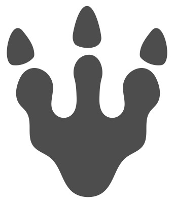 [object Object] undefined