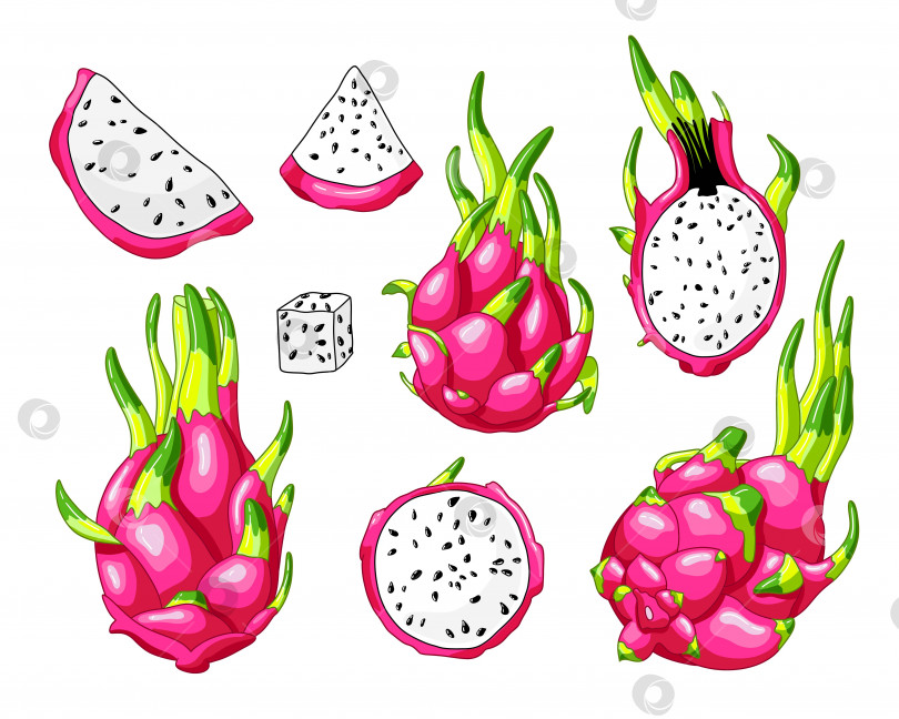 Скачать Набор элементов питайи из розовых драконьих фруктов. фотосток Ozero