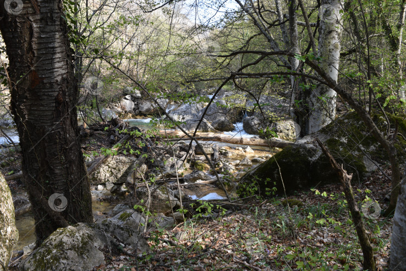 Скачать Горный поток после прошедшего половодья в горах Крыма. фотосток Ozero